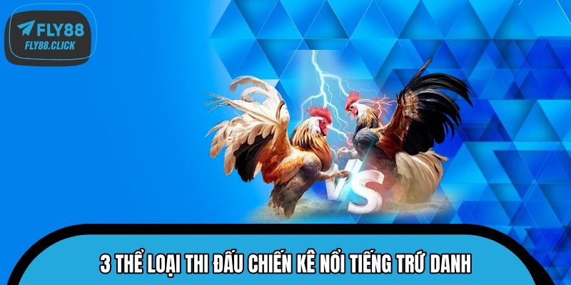 3 thể loại thi đấu chiến kê nổi tiếng trứ danh 3 thể loại thi đấu chiến kê nổi tiếng trứ danh