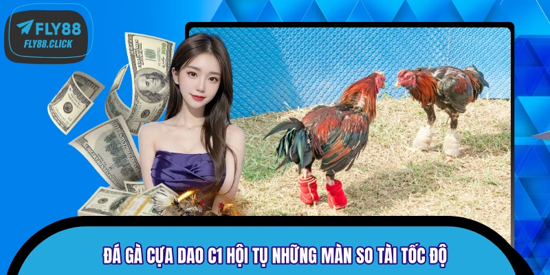 Đá gà cựa dao C1 hội tụ những màn so tài tốc độ Đá gà cựa dao C1 hội tụ những màn so tài tốc độ