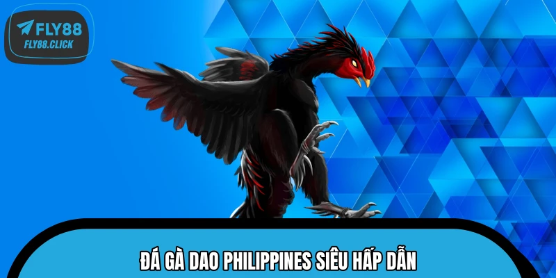 Đá gà dao Philippines siêu hấp dẫn Đá gà dao Philippines siêu hấp dẫn