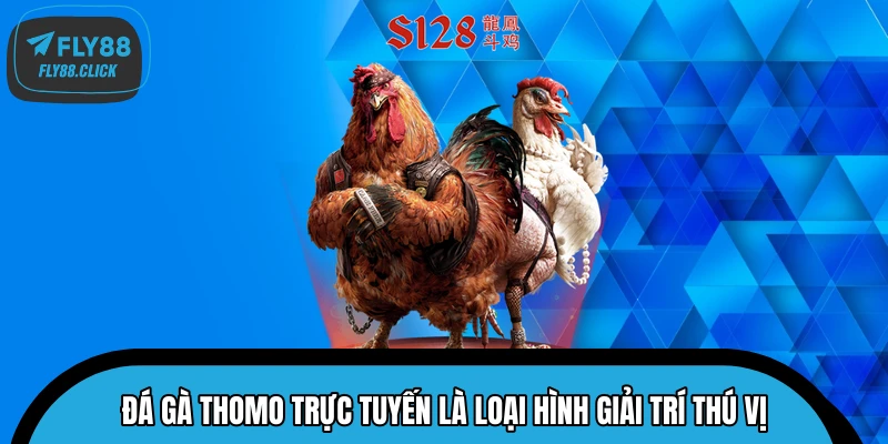 Đá gà Thomo trực tuyến là loại hình giải trí thú vị Đá gà Thomo trực tuyến là loại hình giải trí thú vị