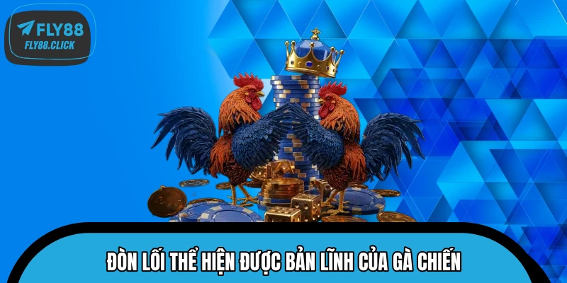 Đòn lối thể hiện được bản lĩnh của gà chiến Đòn lối thể hiện được bản lĩnh của gà chiến