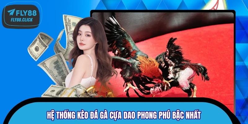 Hệ thống kèo đá gà cựa dao phong phú bậc nhất Hệ thống kèo đá gà cựa dao phong phú bậc nhất