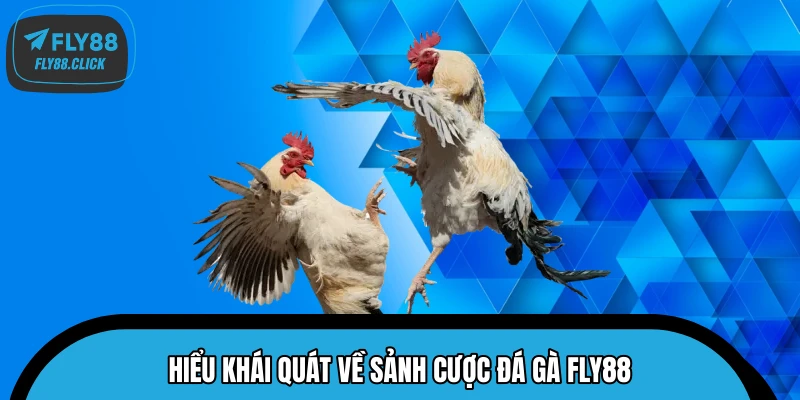 Hiểu khái quát về sảnh cược đá gà FLY88 Hiểu khái quát về sảnh cược đá gà FLY88