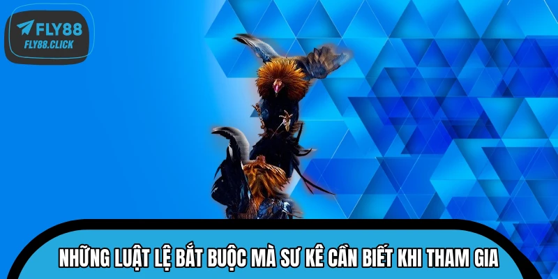 Những luật lệ bắt buộc mà sư kê cần biết khi tham gia Những luật lệ bắt buộc mà sư kê cần biết khi tham gia