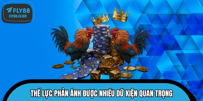 Thể lực phản ánh được nhiều dữ kiện quan trọng Thể lực phản ánh được nhiều dữ kiện quan trọng