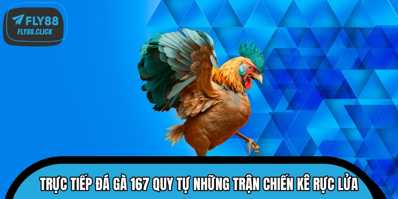 Trực tiếp đá gà 167 quy tự những trận chiến kê rực lửa Trực tiếp đá gà 167 quy tự những trận chiến kê rực lửa